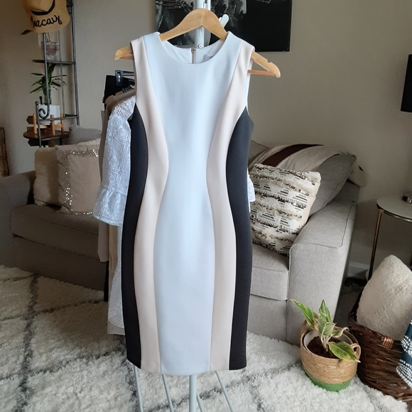 calvin klein professional dress